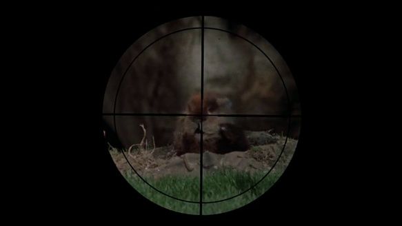 Shot #4319