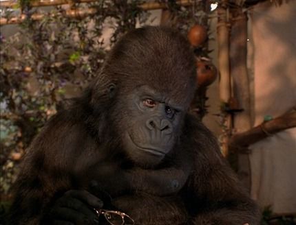 An Ape Named 'Ape' (voice)