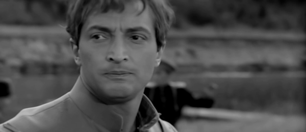 Nestor