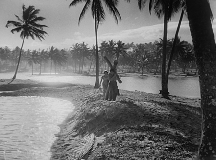 Shot of the Day - May 02, 2016