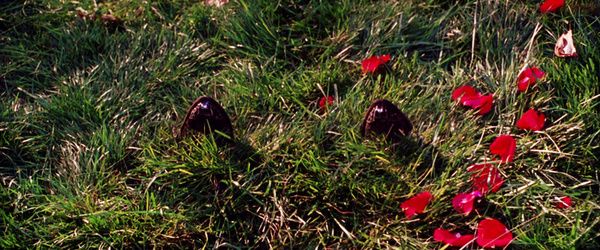 Practical Magic
