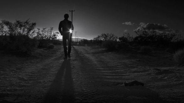 Shot of the Day - March 29, 2021