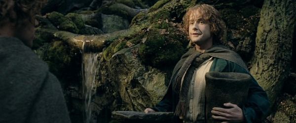 Peregrin 'Pippin' Took