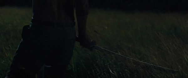 Predators