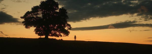 Shot of the Day - October 11, 2025
