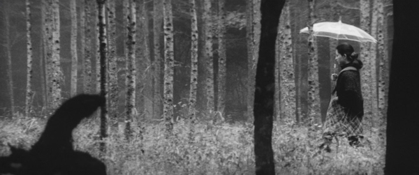 Shot of the Day - April 03, 2014