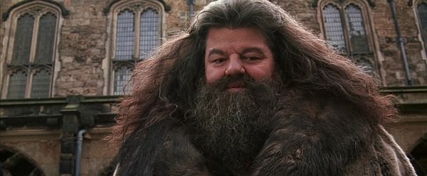 Rubeus Hagrid