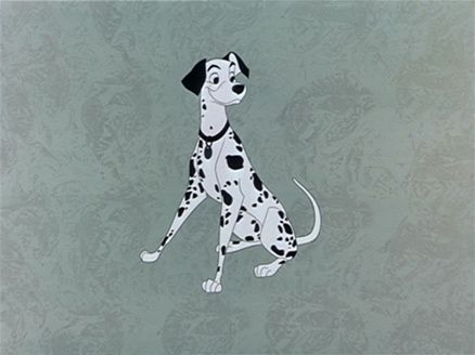 Pongo