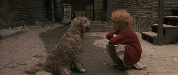 Shot #363384