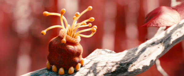 Shot of the Day - January 22, 2014
