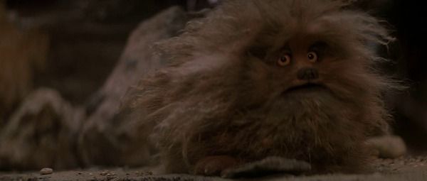 Fizzgig, A Friendly Monster