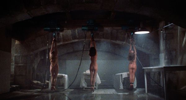 Shot of the Day - March 22, 2026