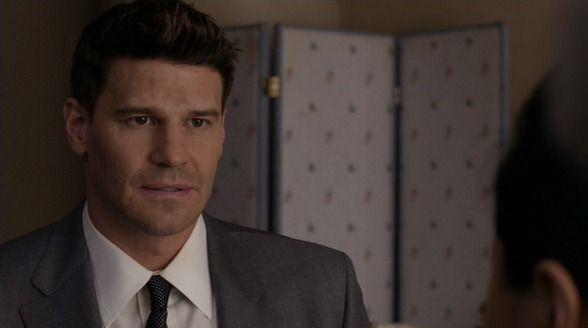 Special Agent Seeley Booth