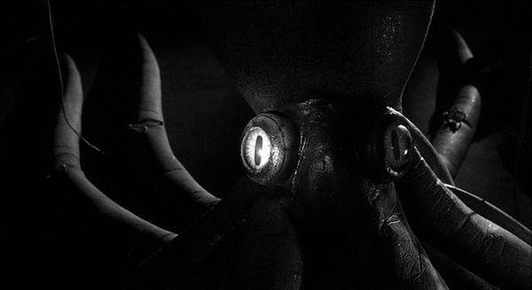 Shot of the Day - February 08, 2012
