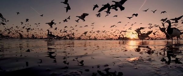 Shot of the Day - January 26, 2016