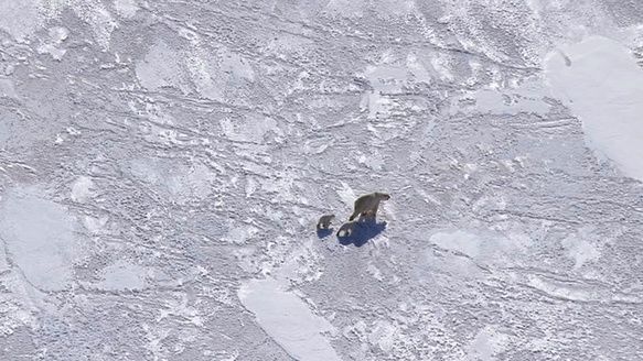 Shot of the Day - January 14, 2014