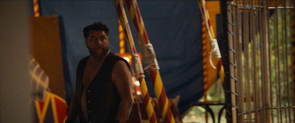 Zorro