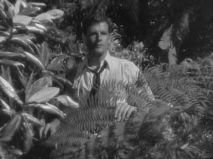 Robert Rainsford