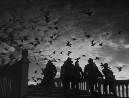 Shot of the Day - September 29, 2012
