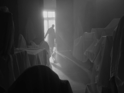 Shot of the Day - August 07, 2020
