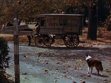 Lassie Come Home