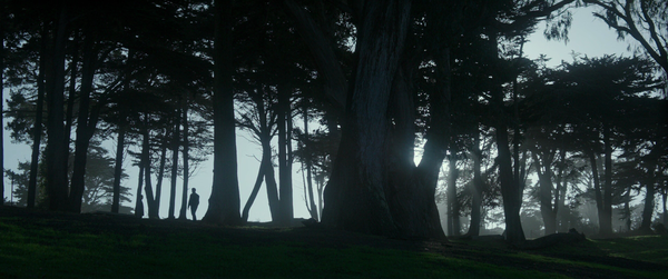 Shot of the Day - December 08, 2018