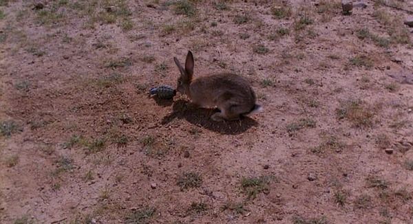 Shot of the Day - February 27, 2012