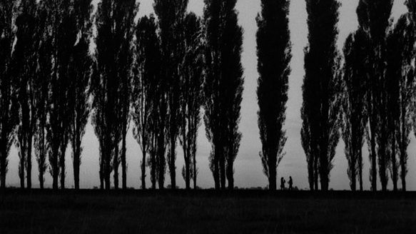 Shot of the Day - November 30, 2020