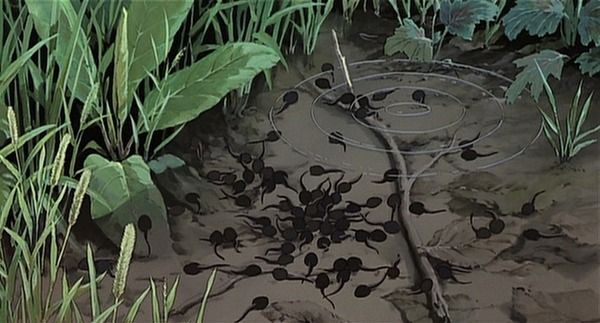 Tonari no Totoro