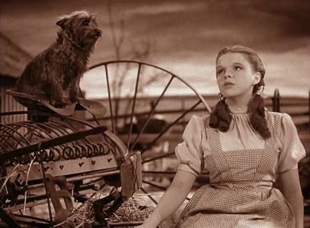 Dorothy Gale