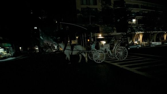 Shot #3884