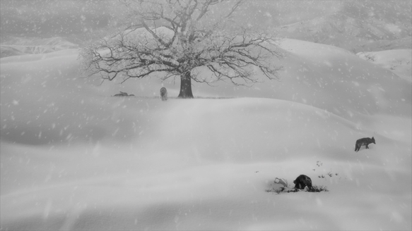 Shot of the Day - January 19, 2019