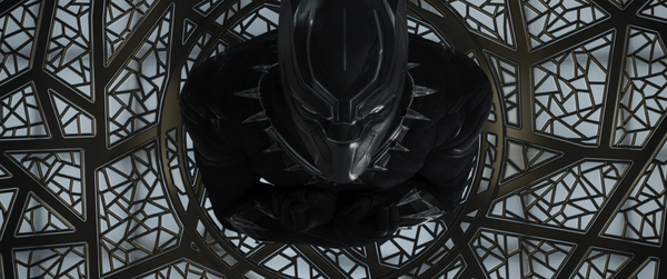 T'Challa / Black Panther