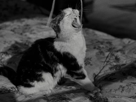 Shot #135748