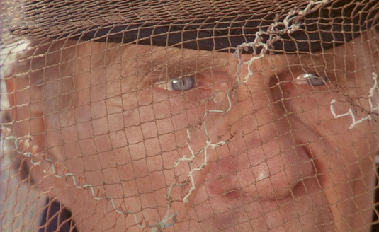 Shot #325464