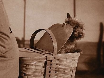 Toto