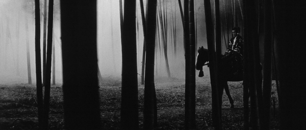 Shot of the Day - December 27, 2018