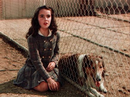 Lassie Come Home
