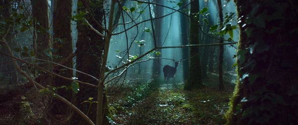 Shot #407295
