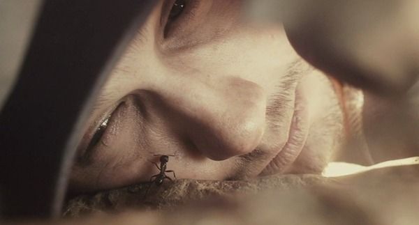 Shot of the Day - June 09, 2011