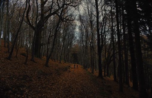 Shot of the Day - November 06, 2020