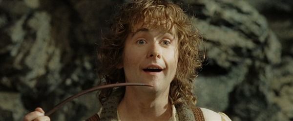 Peregrin 'Pippin' Took