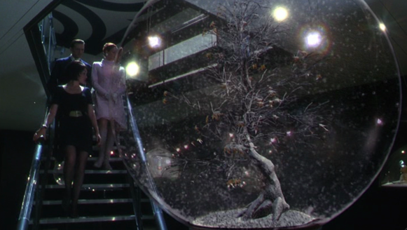 Shot of the Day - December 25, 2018