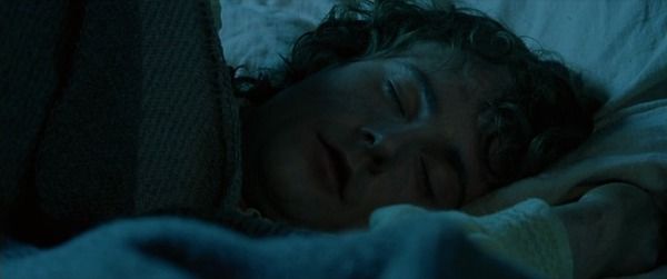 Peregrin 'Pippin' Took