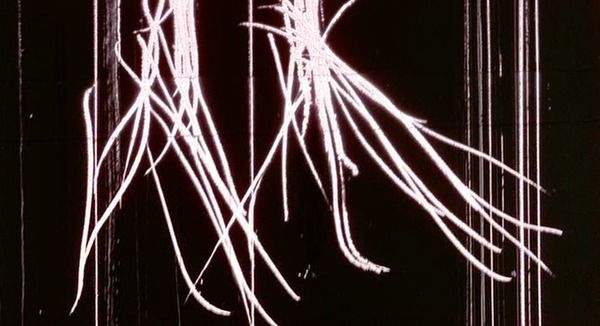 Shot #111611