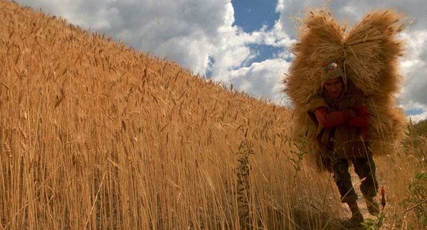 Shot #254330