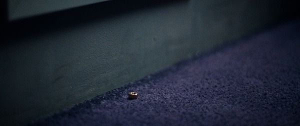 Shot #201317