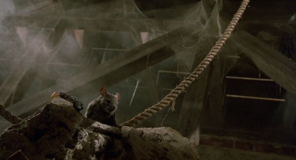 Shot of the Day - March 01, 2021