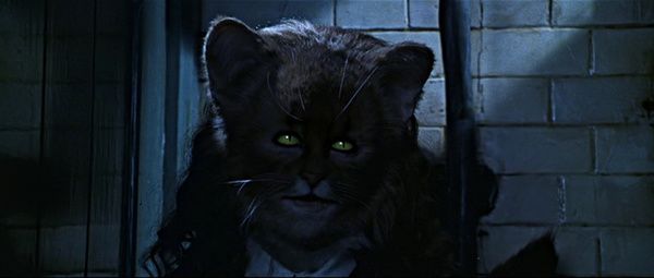 Hermione Granger