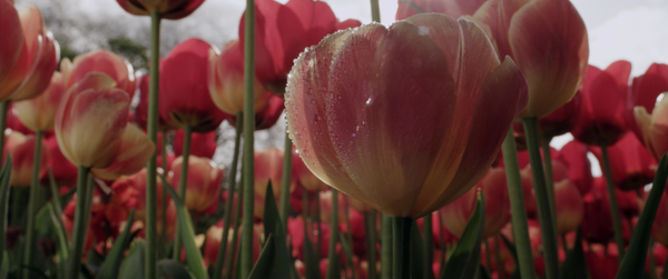 Shot of the Day - August 02, 2016